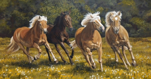 paarden R & S